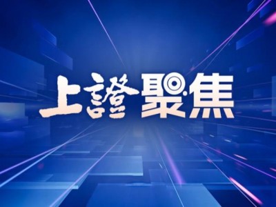 配資門戶官方平臺：板塊輪動復盤：煤炭、AI應用與消費細分為何逆勢活躍