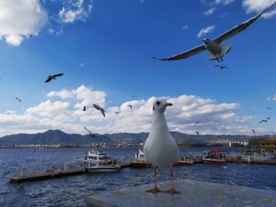 長沙配資平臺：2026年本科專業(yè)熱度10強(qiáng)出爐