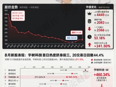配資之家論壇：宇樹科技上市滿月，市值蒸發超2300億元