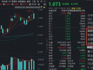 港股硬科技暴跌，危還是機？規(guī)模最大港股通信息技術(shù)ETF華寶（159131）重挫5.13% ，