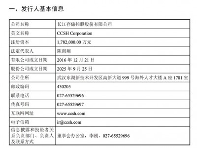 從全年虧損191億到單季盈利333億 長(zhǎng)存控股招股書(shū)全拆解