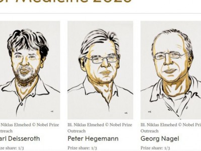 配資查詢導航網：2026年諾貝爾生理學或醫學獎頒給光遺傳學！如何用光控制記憶、情緒與行為？