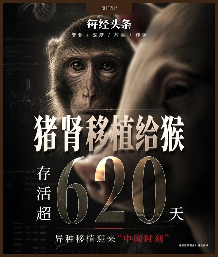 豬腎移植到猴身上，存活超620天刷新紀錄，異種器官移植迎來“中國時刻” | 每經網